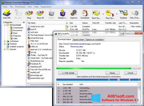 ภาพหน้าจอ Internet Download Manager สำหรับ Windows 8.1