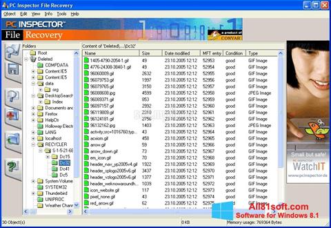 ภาพหน้าจอ PC Inspector File Recovery สำหรับ Windows 8.1